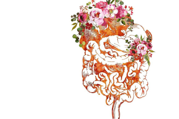 Gut Health and Cancer: The Microbiome’s Role in Health