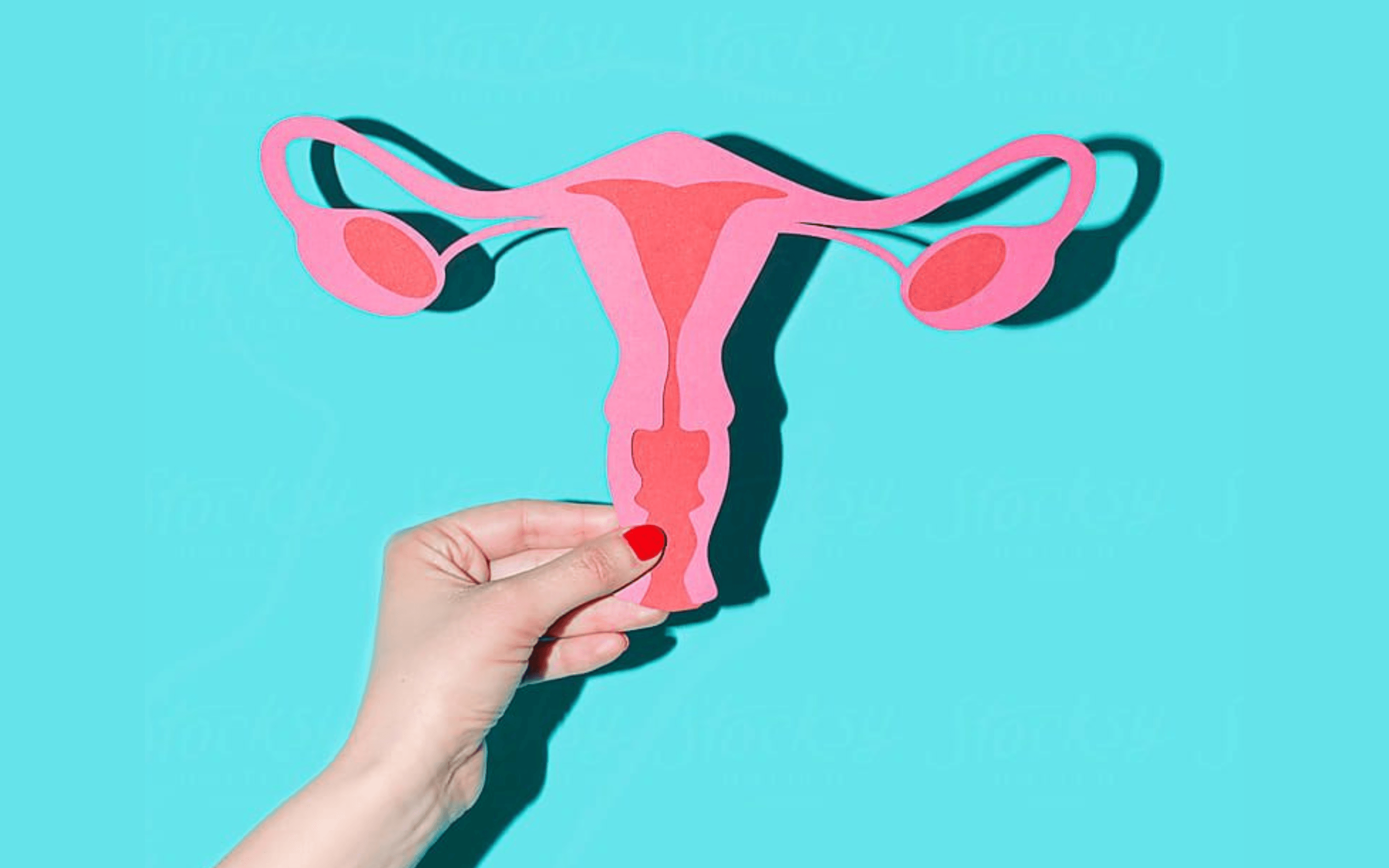 Boost Your Fertility: Tips for Improving Ovulation